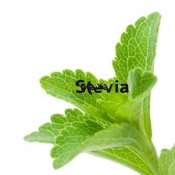Over Stevia