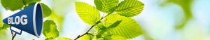 Stevia-blog