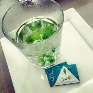 purestevia munt thee